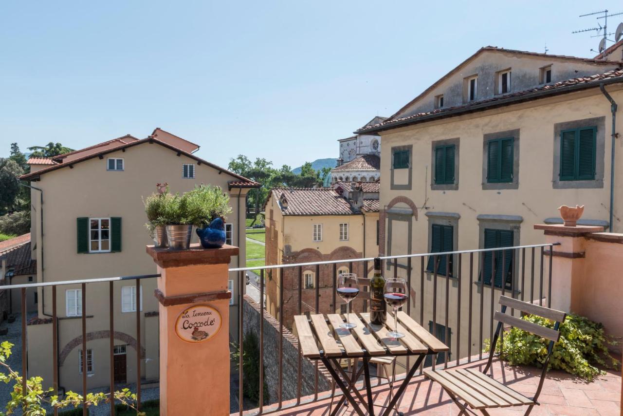 Terrazza Coccode' Spazioso Con Vista Mozzafiato! Лука Екстериор снимка