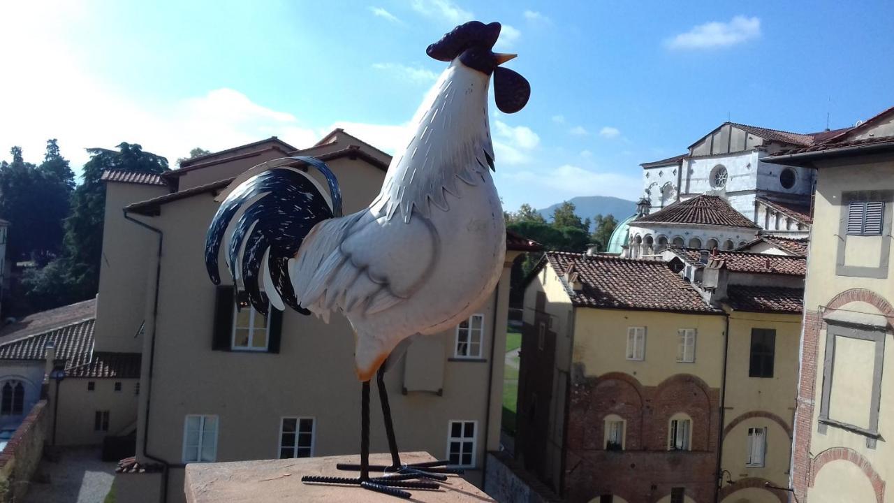 Terrazza Coccode' Spazioso Con Vista Mozzafiato! Лука Екстериор снимка