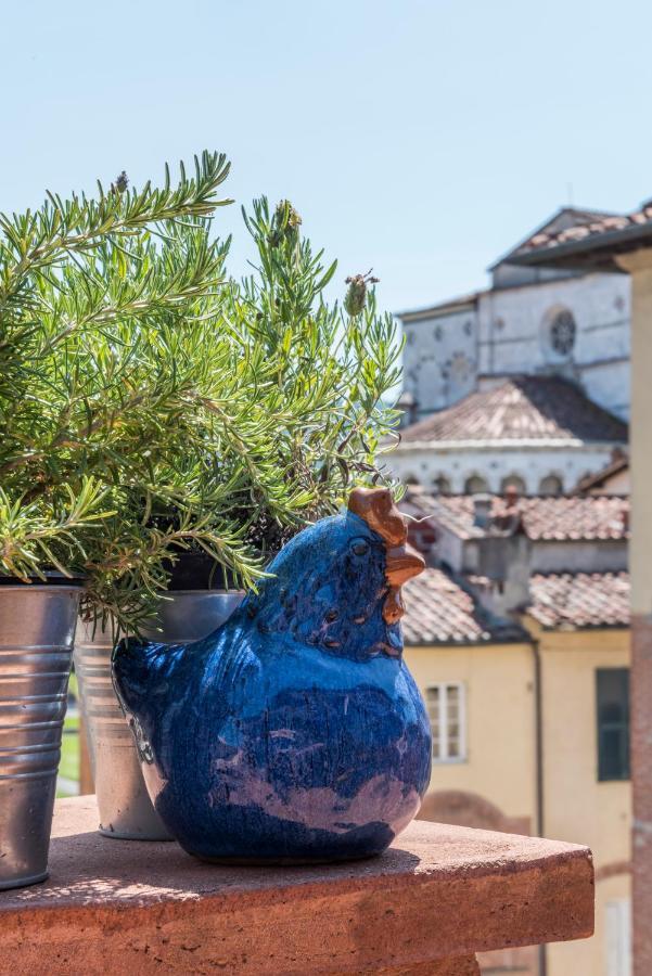 Terrazza Coccode' Spazioso Con Vista Mozzafiato! Лука Екстериор снимка