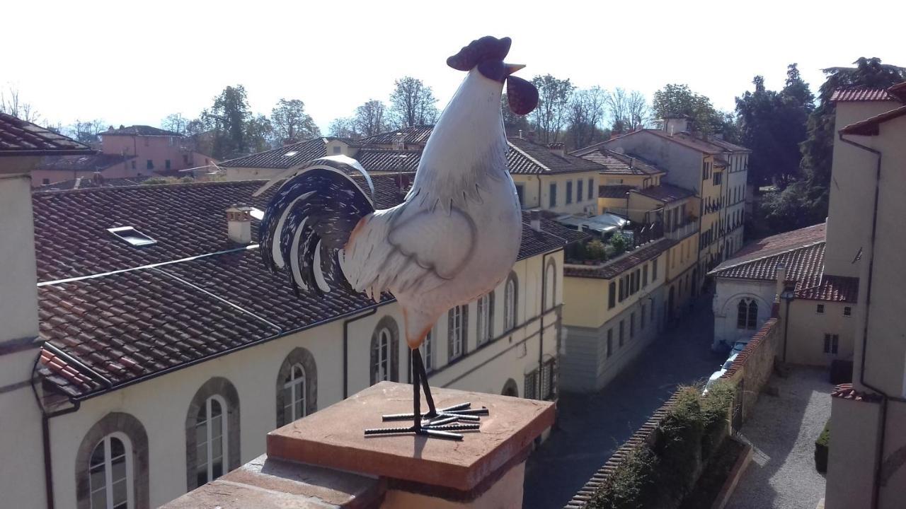 Terrazza Coccode' Spazioso Con Vista Mozzafiato! Лука Екстериор снимка